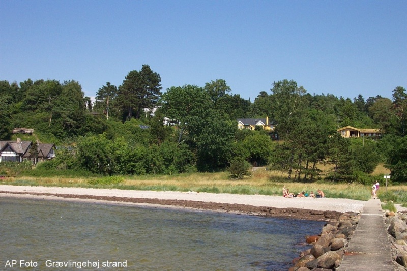 Stranden ved Grævlingehøj